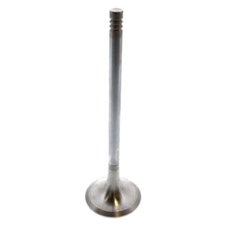 Intervalves® - Exhaust Valve