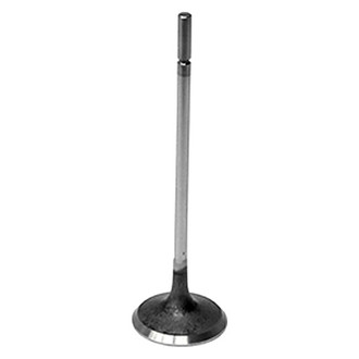 Intervalves® - Intake Valve