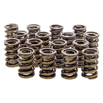 Isky Racing Cams® - Valve Springs