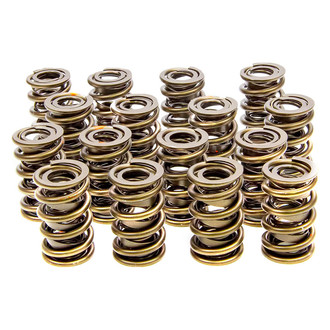Isky Racing Cams® - Tool Room Rad Racing™ Valve Springs