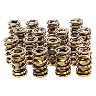Isky Racing Cams® - Tool Room Rad Racing™ Valve Springs