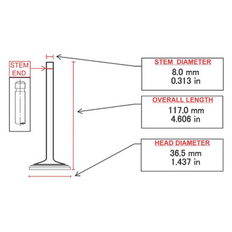 ITM Engine® - Engine Valve