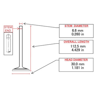ITM Engine® - Exhaust Valve