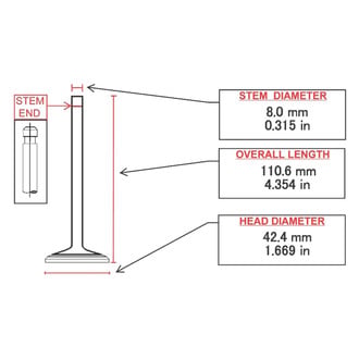 ITM Engine® - Intake Valve