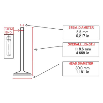 ITM Engine® - Intake Valve