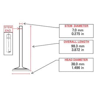 ITM Engine® - Intake Valve