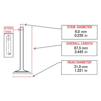 ITM Engine® - Intake Valve