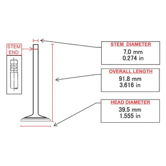 ITM Engine® - Intake Valve