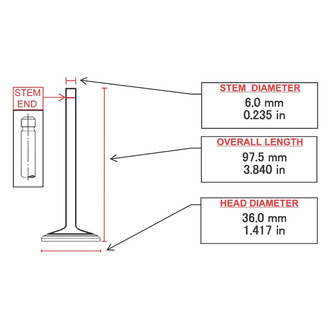 ITM Engine® - Intake Valve