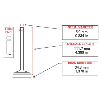 ITM Engine® - Intake Valve