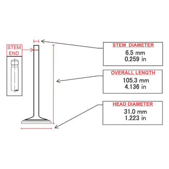 ITM Engine® - Intake Valve