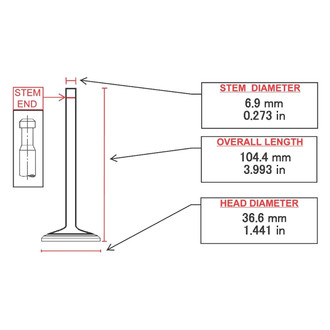 ITM Engine® - Intake Valve