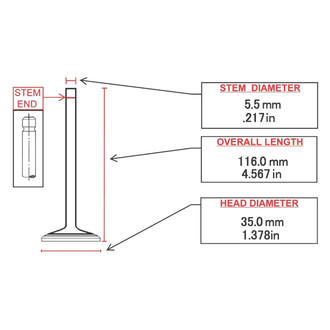 ITM Engine® - Intake Valve