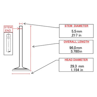 ITM Engine® - Intake Valve