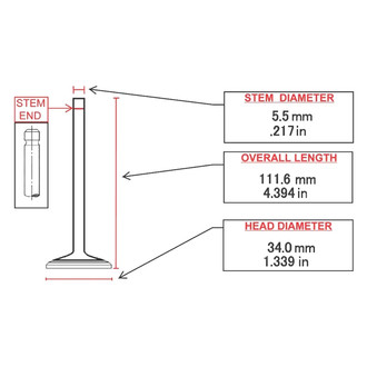ITM Engine® - Intake Valve