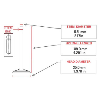 ITM Engine® - Intake Valve
