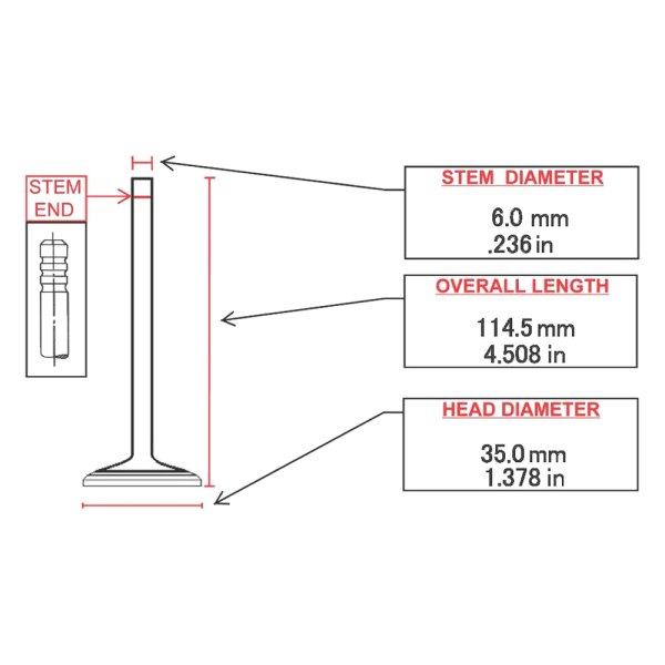 ITM Engine® - Engine Intake Valve