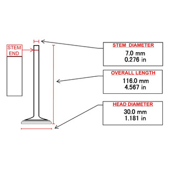 ITM Engine® - Exhaust Valve
