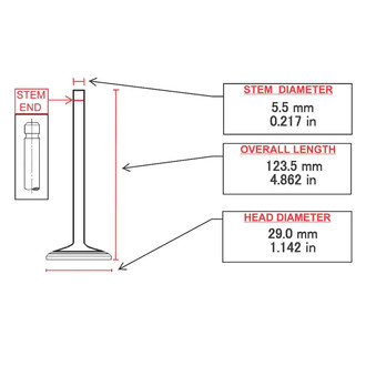 ITM Engine® - Exhaust Valve