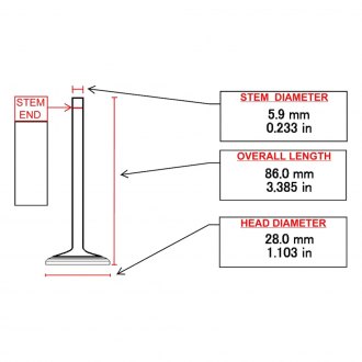 ITM Engine® - Engine Valve