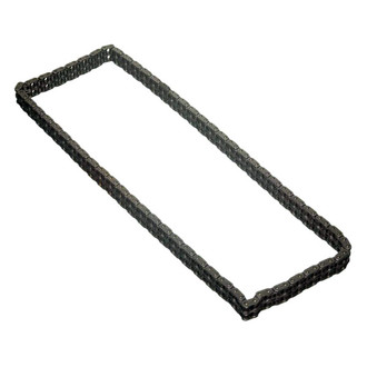 Iwis® - Timing Chain