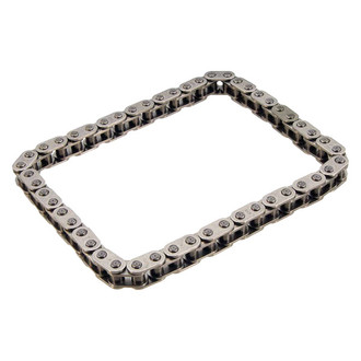 Iwis® - Timing Chain