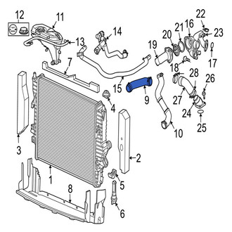 Jaguar OE - Lower Radiator Coolant Hose