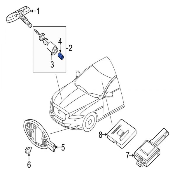 Tire Pressure Monitoring System (TPMS) Valve Stem Cap