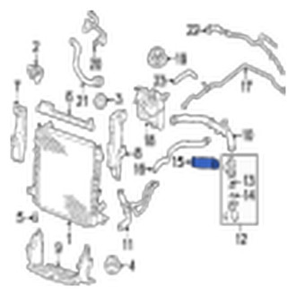 Jaguar OE - Lower Radiator Coolant Hose
