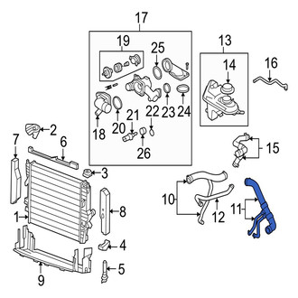Jaguar OE - Lower Radiator Coolant Hose