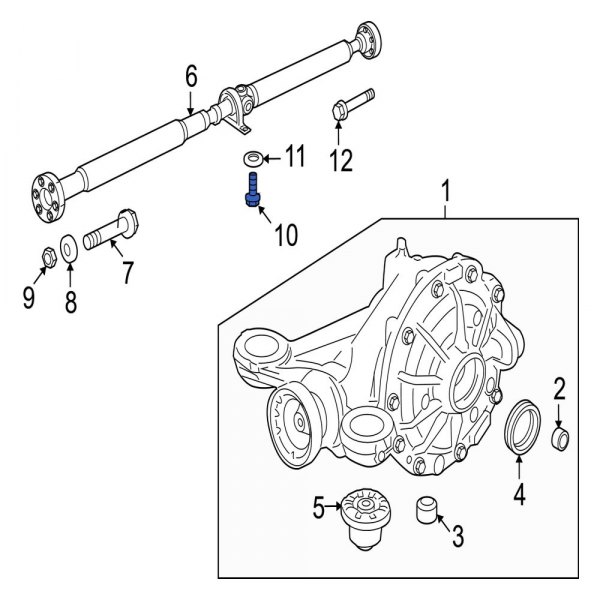 Drive Shaft Bolt