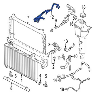 Jaguar OE - Lower Radiator Coolant Hose