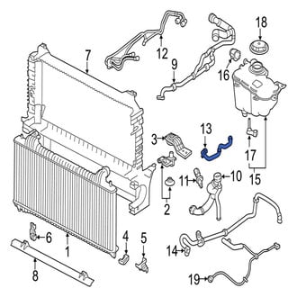 Jaguar OE - Lower Radiator Coolant Hose