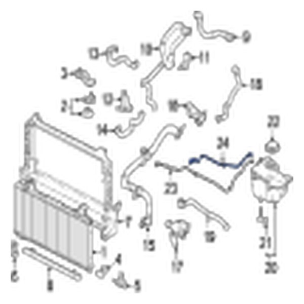 Engine Coolant Overflow Hose