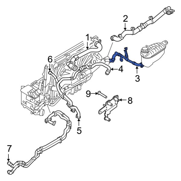 Engine Coolant Overflow Hose