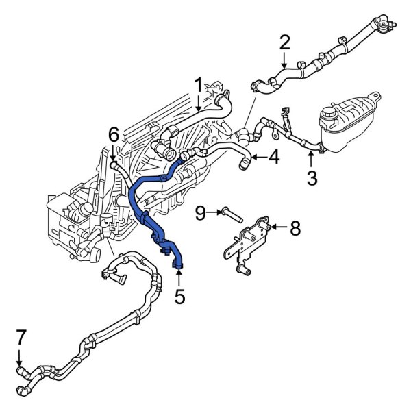 Radiator Coolant Hose