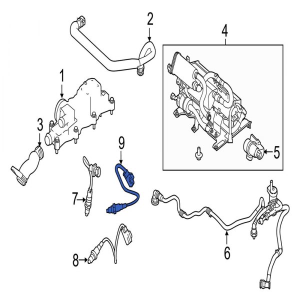 Oxygen Sensor