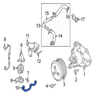 Jaguar OE - Lower Radiator Coolant Hose