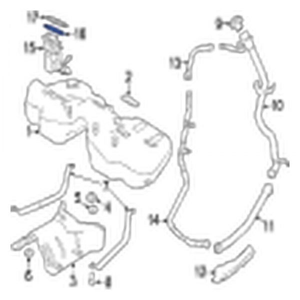 Fuel Pump Tank Seal