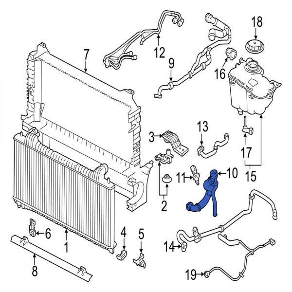 Jaguar OE T2H4034 - Lower Radiator Coolant Hose