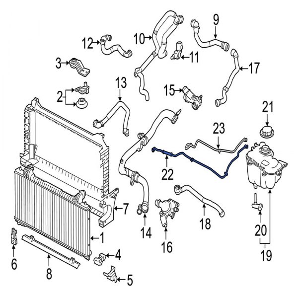 Engine Coolant Overflow Hose