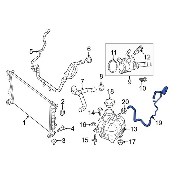 Engine Coolant Overflow Hose