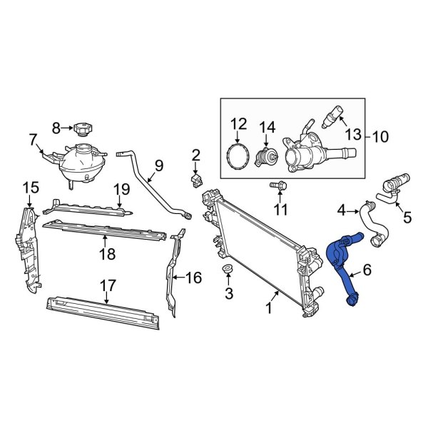 Radiator Coolant Hose