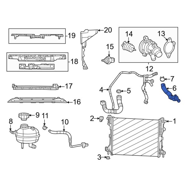 Radiator Coolant Hose