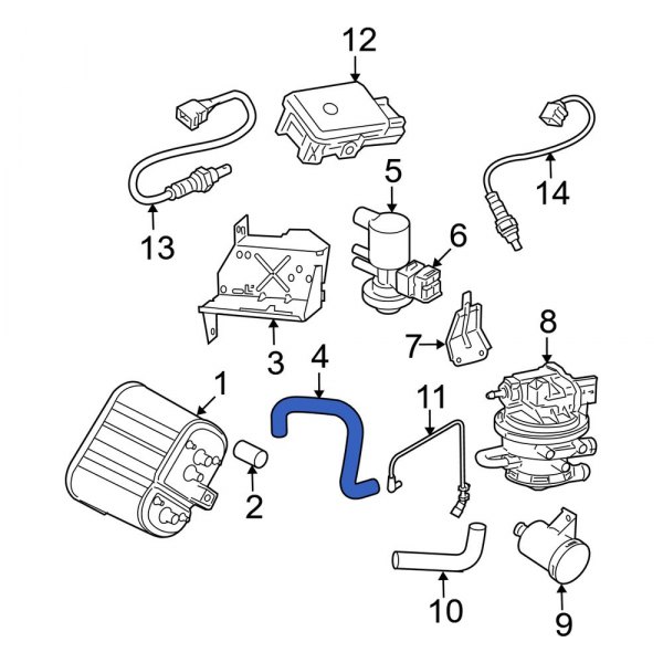 Evaporative Emissions System Lines