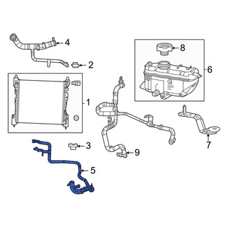 Jeep OE - Lower Radiator Coolant Hose