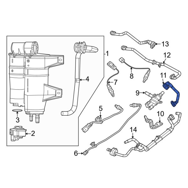 Evaporative Emissions System Lines