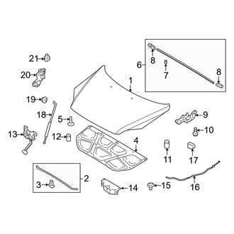 Kia OE - Hood & Components