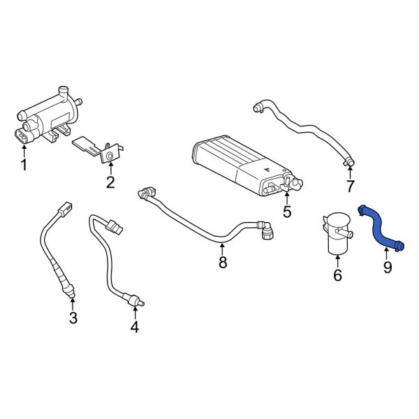 Evaporative Emissions System Lines