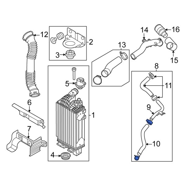 Intercooler Hose